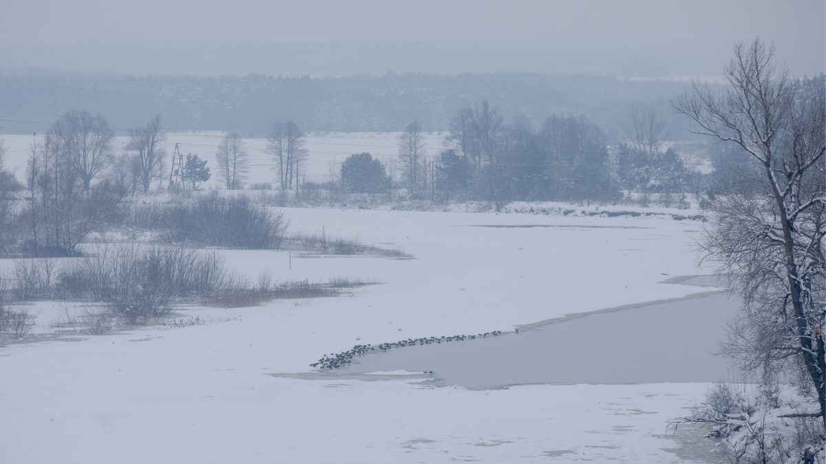 Mroźne kanu