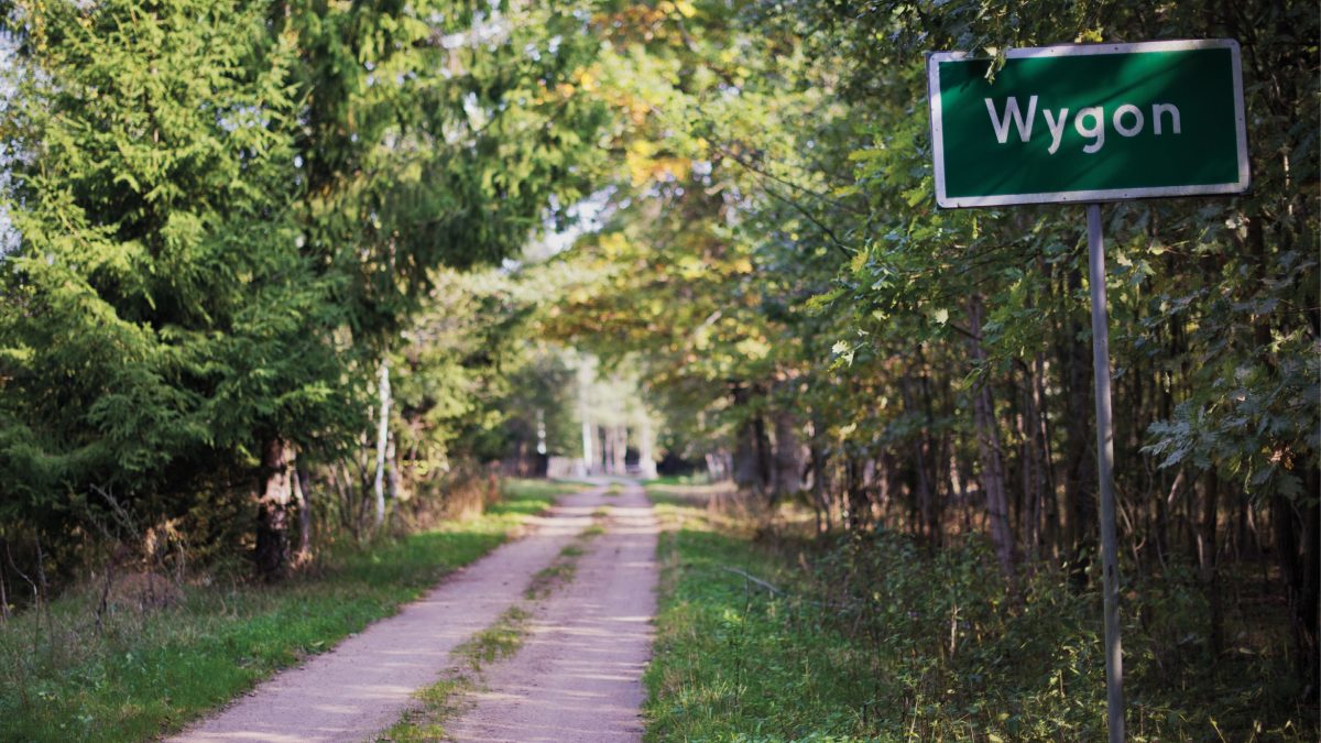 Nasz jest ten kawałek puszczy