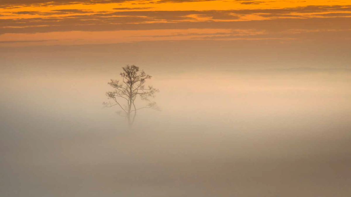 Marcin Orszulak