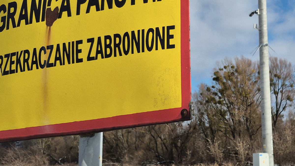 Bug wije się z&nbsp;bólu